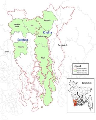 The roles of community nutrition scholars in changing mothers' child feeding, food preparation, and hygiene practices in southern Bangladesh